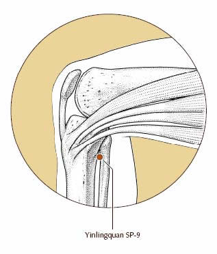 Pain-Relief-by-Bellmore